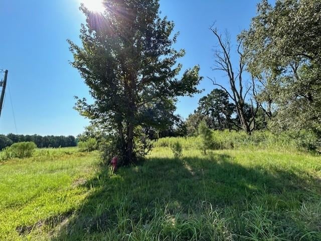 780 N Center, Tenaha TX, 75974 land for sale