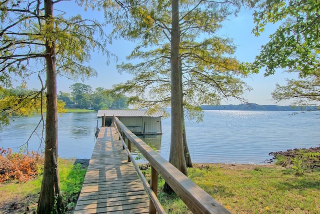 dock area with a water view