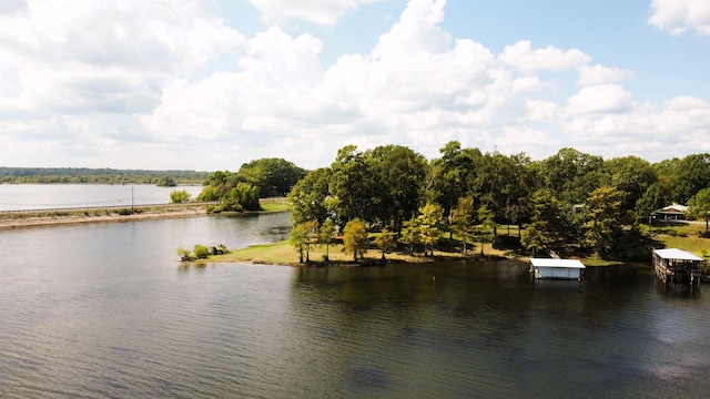 386 Paradise Dr, Hemphill, TX 75948 - view of water feature
