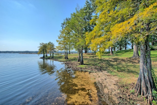 386 Paradise Dr, Hemphill, TX 75948 - view of water feature