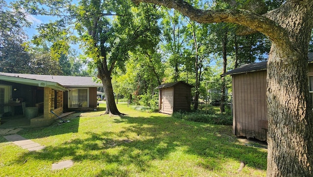 view of yard with a storage unit