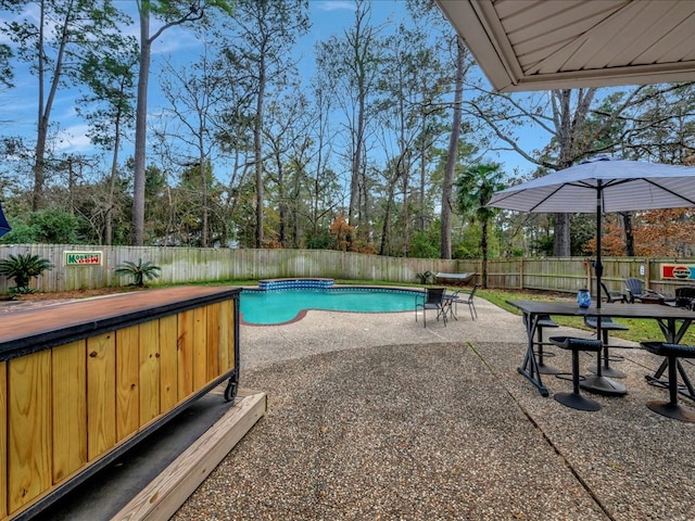 view of pool with a patio