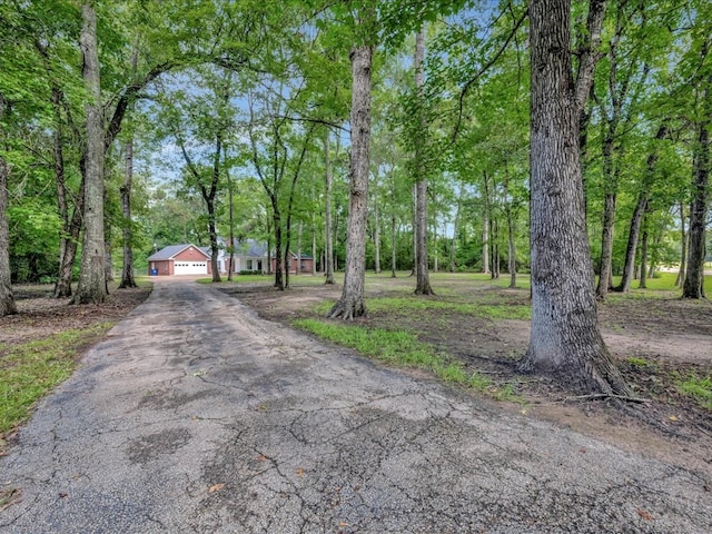 view of road featuring aphalt driveway