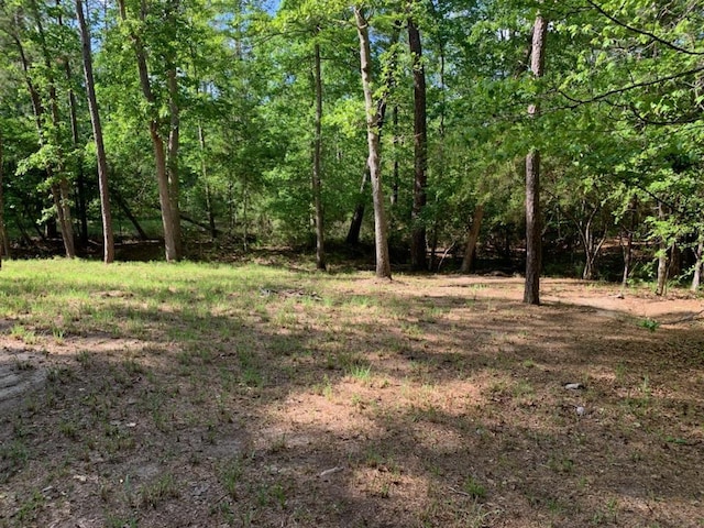 38 Dingy, Brookeland TX, 75931 land for sale