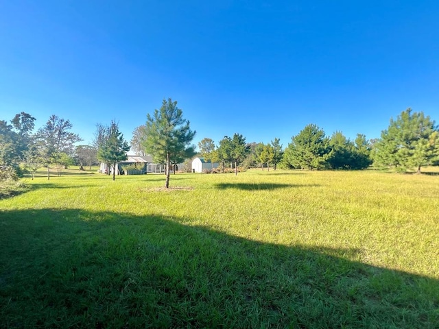 view of yard featuring a rural view