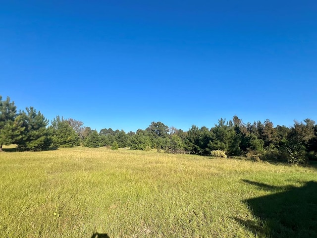 view of yard with a rural view