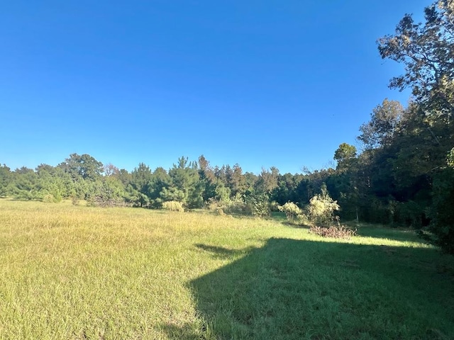 view of yard with a rural view