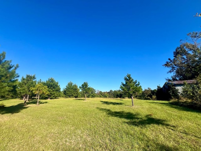 view of yard with a rural view