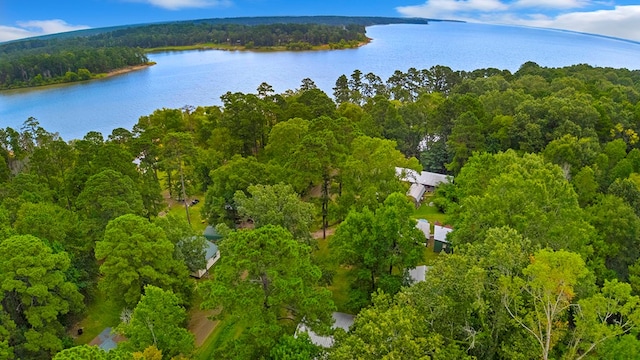 158 County Road 4742, Broaddus, TX 75929 - photo 4