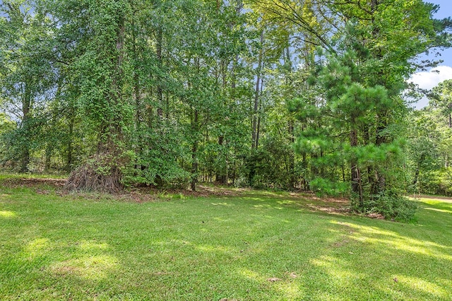 158 County Road 4742, Broaddus, TX 75929 - photo 29