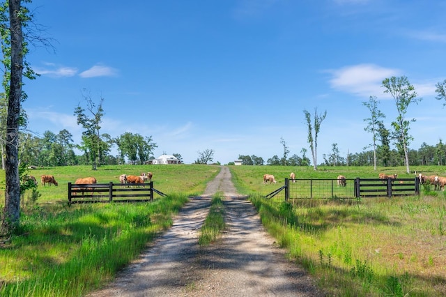 view of property's community featuring a rural view