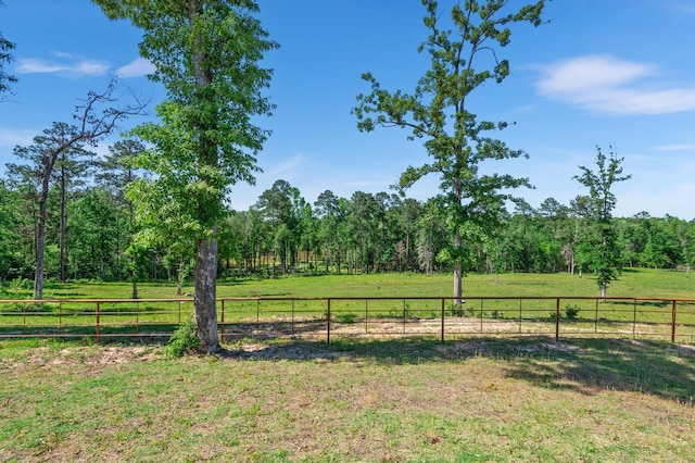 view of yard featuring a rural view