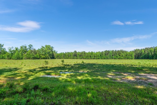 view of yard featuring a rural view