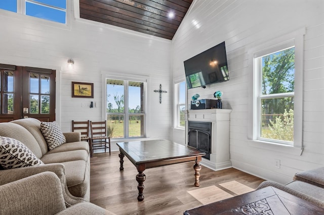 living room with wood-type flooring, high vaulted ceiling, and a wealth of natural light