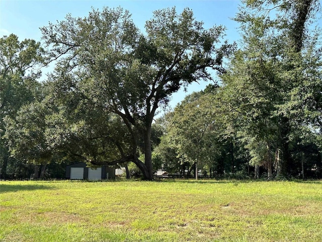 1011 N Nellius St, Woodville TX, 75979 land for sale