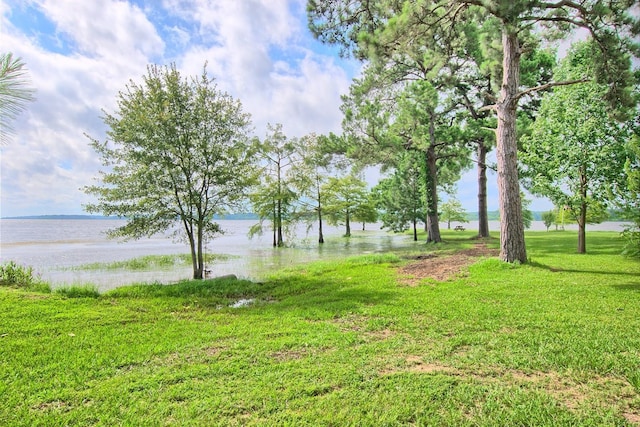 view of yard featuring a water view