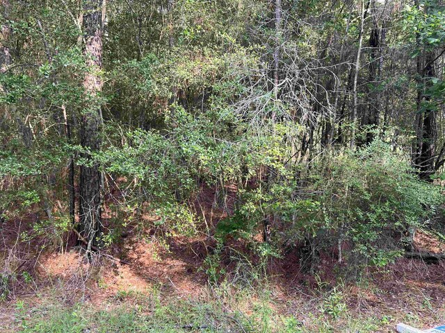087 Pinehurst, Brookeland, TX 75931 - photo 8