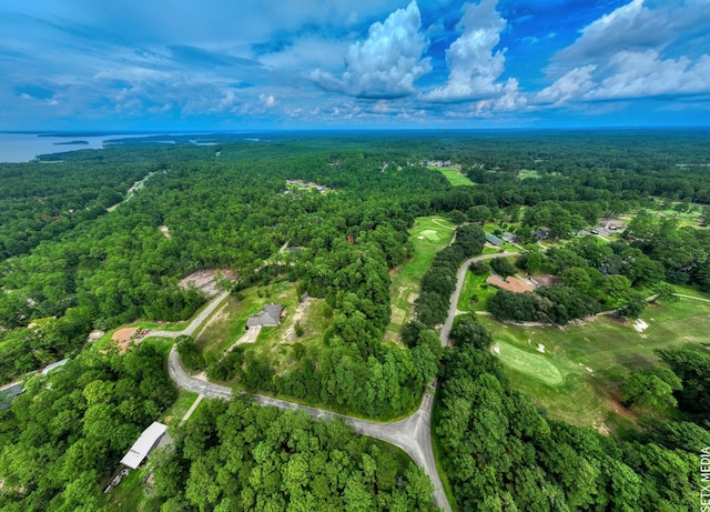 087 Pinehurst, Brookeland, TX 75931 - photo 2