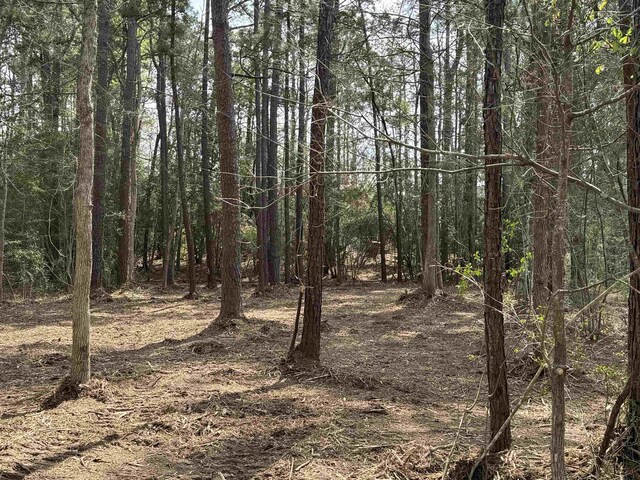 087 Pinehurst, Brookeland, TX 75931 - photo 4