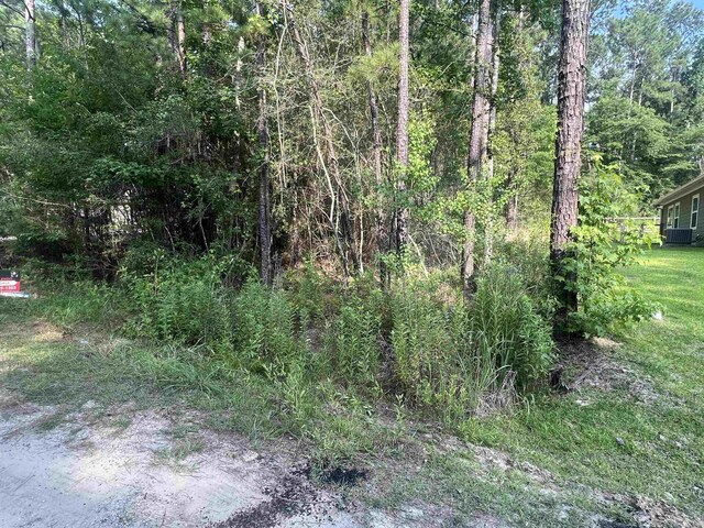 087 Pinehurst, Brookeland, TX 75931 - photo 7