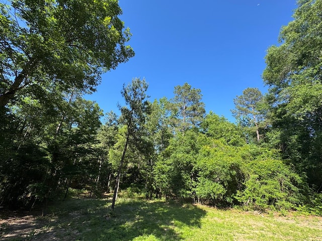 2505 County Road 4420, Spurger, TX 77660 - view of wooded area