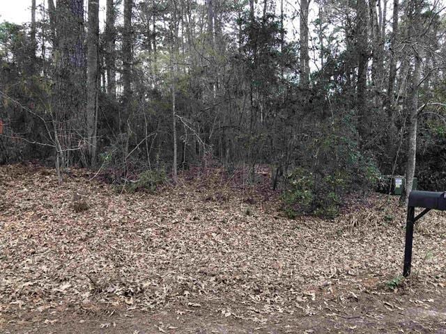 250 Adkins, Hemphill TX, 75948 land for sale