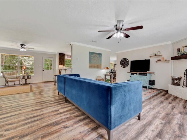 living room featuring crown molding, hardwood / wood-style floors, ceiling fan, and a textured ceiling