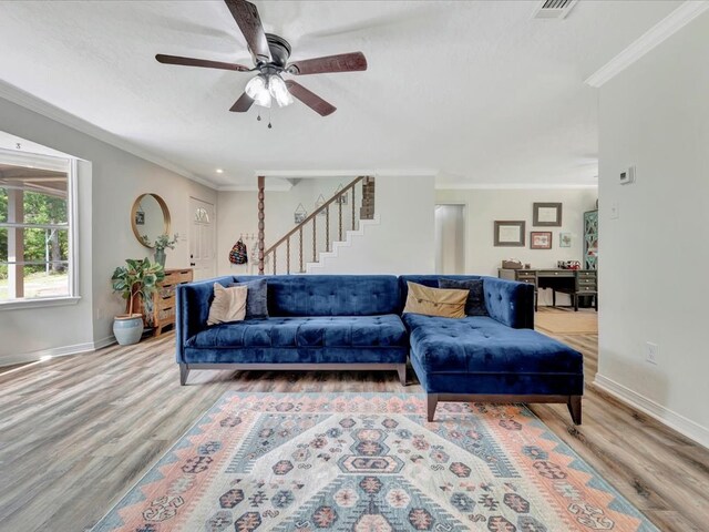 living room featuring ceiling fan, light wood-type flooring, and crown molding