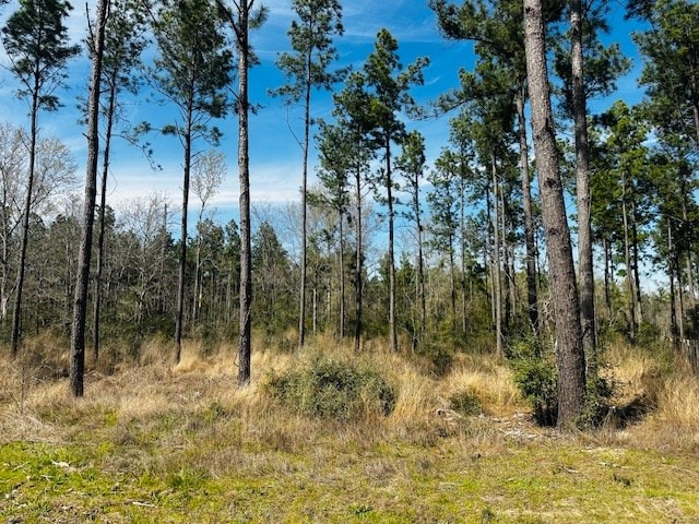 5-6LAIRDLANE Fm 357, Apple Springs, TX 75926 - photo 6