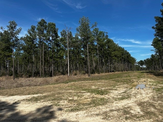 5-6LAIRDLANE Fm 357, Apple Springs, TX 75926 - photo 2