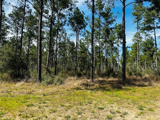 5-6LAIRDLANE Fm 357, Apple Springs, TX 75926 - photo 8