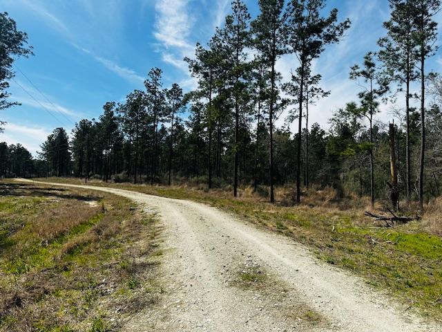 5-6LAIRDLANE Fm 357, Apple Springs, TX 75926 - photo 1