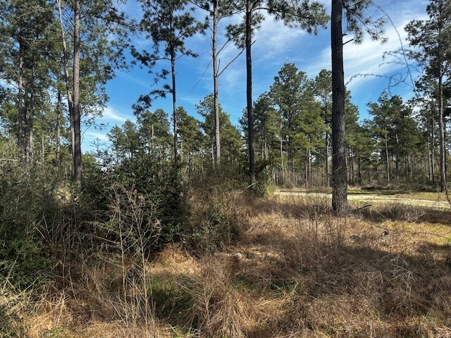 5-6LAIRDLANE Fm 357, Apple Springs, TX 75926 - photo 11