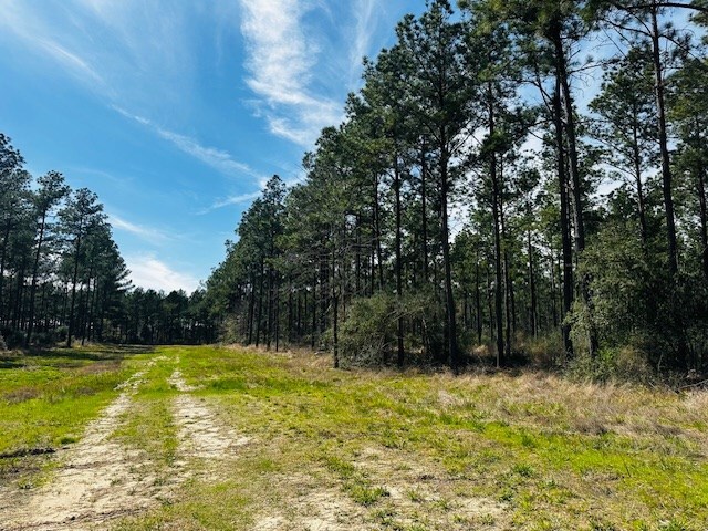 5-6LAIRDLANE Fm 357, Apple Springs, TX 75926 - photo 7