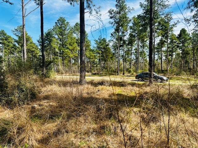 5-6LAIRDLANE Fm 357, Apple Springs, TX 75926 - photo 12