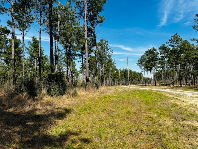5-6LAIRDLANE Fm 357, Apple Springs, TX 75926 - photo 14