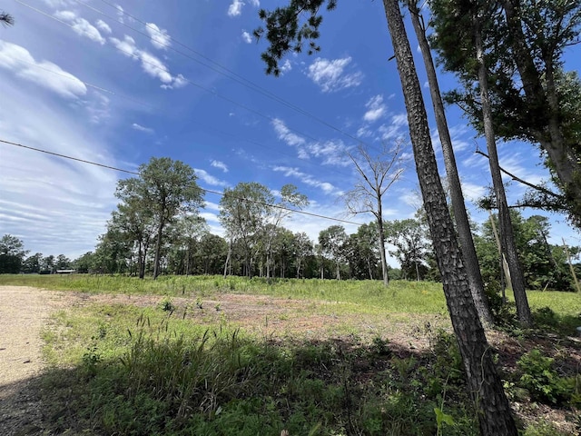 Listing photo 3 for 4344 US Highway 69, Lufkin TX 75901