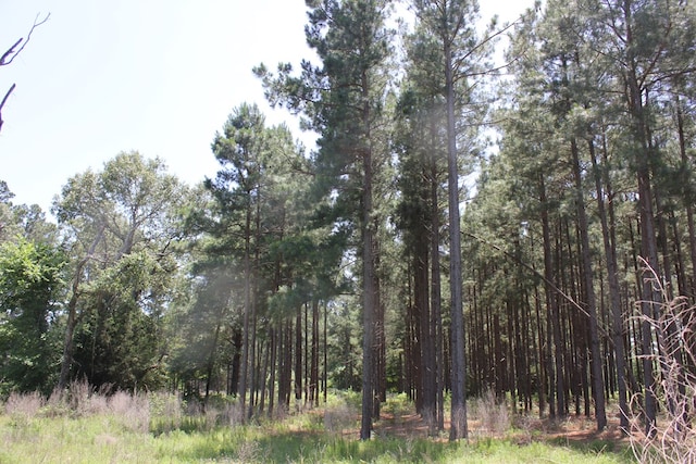 640 County Road 2218, Anderson, TX 75861 - photo 11