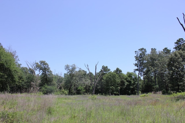 640 County Road 2218, Anderson, TX 75861 - photo 9