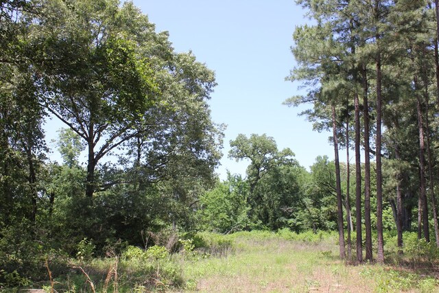 640 County Road 2218, Anderson, TX 75861 - photo 15