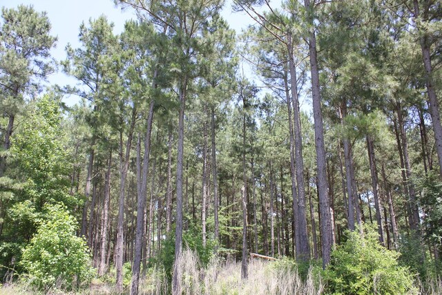640 County Road 2218, Anderson, TX 75861 - photo 3