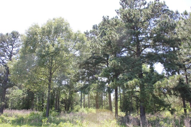 640 County Road 2218, Anderson, TX 75861 - photo 21