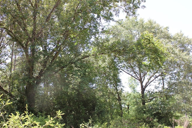 640 County Road 2218, Anderson, TX 75861 - photo 16