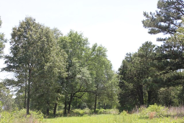 640 County Road 2218, Anderson, TX 75861 - photo 20