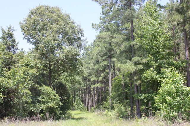 640 County Road 2218, Anderson, TX 75861 - photo 2