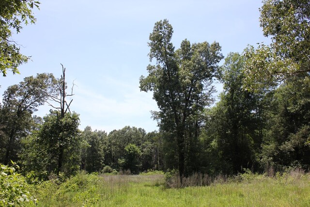 640 County Road 2218, Anderson, TX 75861 - photo 23
