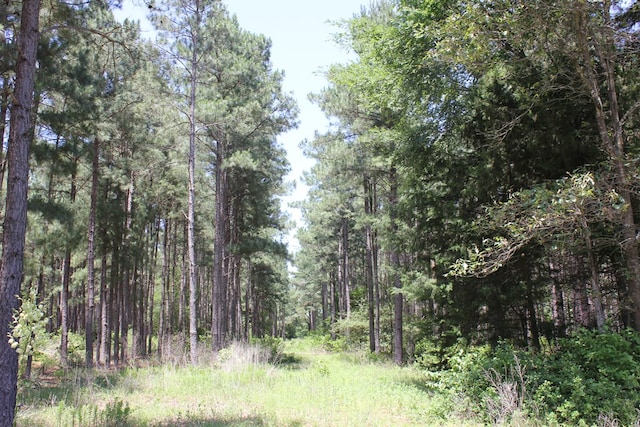 640 County Road 2218, Anderson, TX 75861 - photo 8