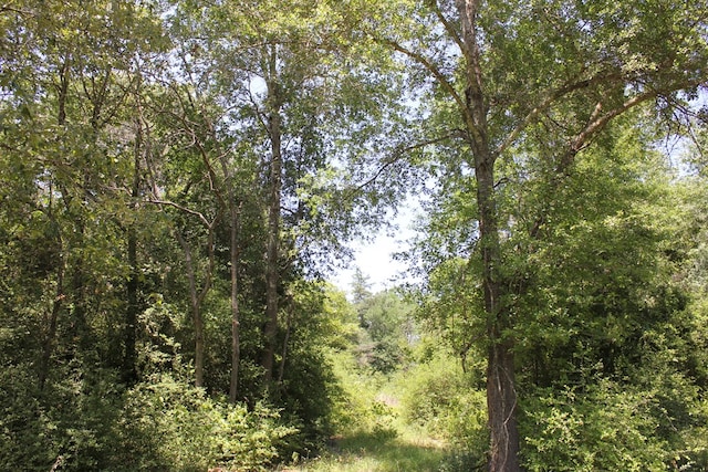640 County Road 2218, Anderson, TX 75861 - photo 25