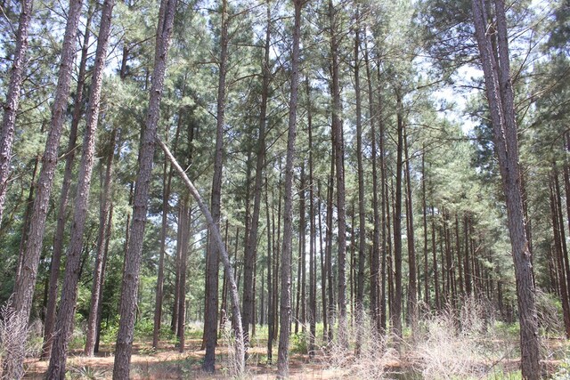 640 County Road 2218, Anderson, TX 75861 - photo 27