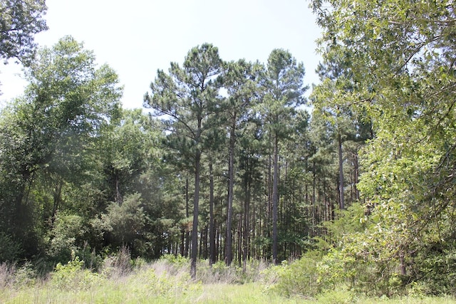 640 County Road 2218, Anderson, TX 75861 - photo 24